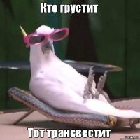 ну вас нах зануды жирные я так в месте с немцами поржал тьфу на вас нытики