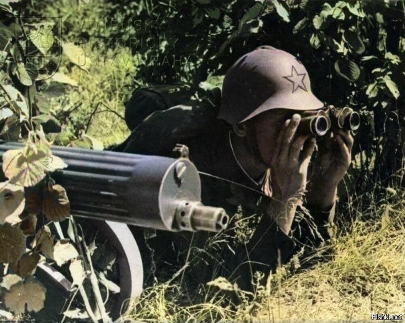 Это не то, что вы подумали