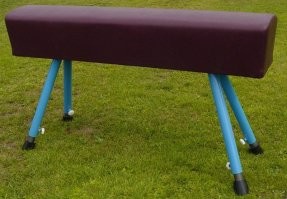 Это маленький козлик... А есть и козлище.  (знаю, знаю... Коняра)