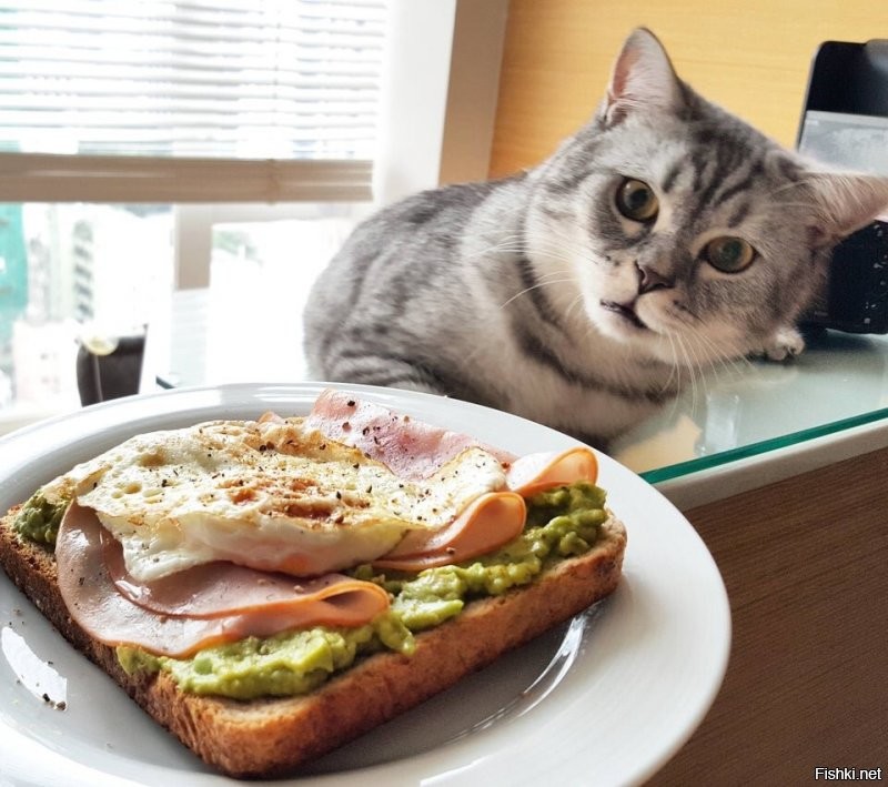 Солянка от 24.08.2020