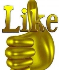 Тахины: Муха, которая обязана родить вовремя. Иначе детки её сожрут