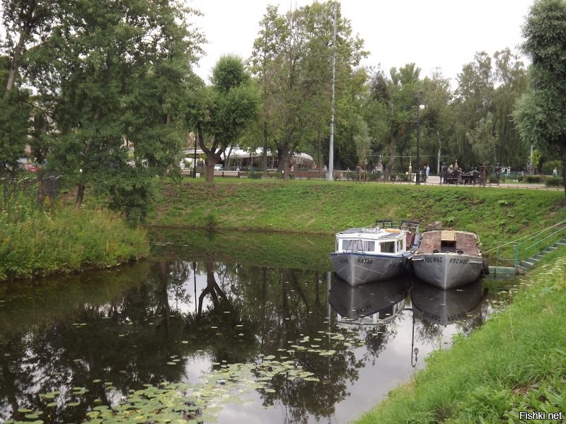 Питерские,это где