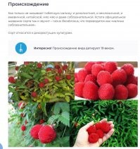 Вот) княженка немного другая.