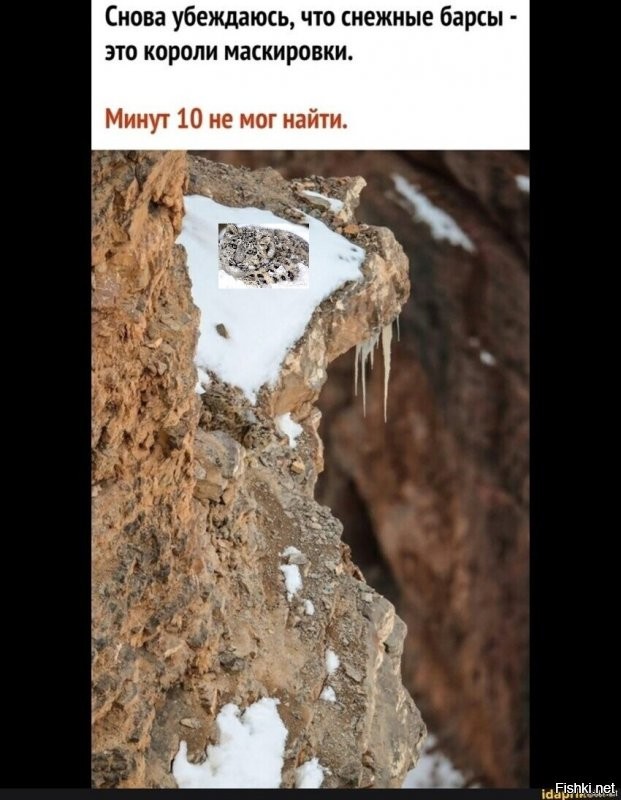 а чего его искать...
