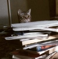 Спокойно,все бумаги согласованы.