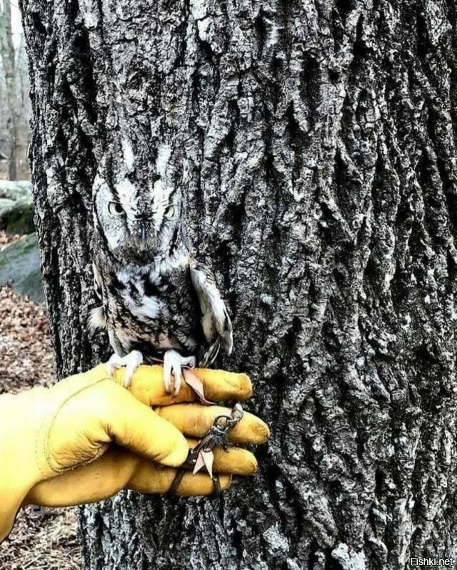 Солянка от 25.08.2020