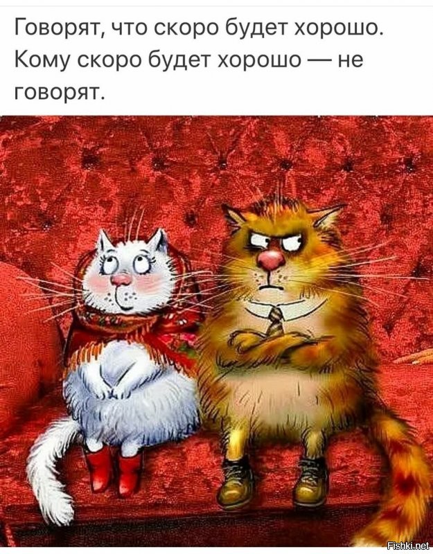 Солянка от 25.08.2020