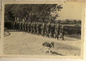 Выбирать породу собак под себя или менять себя под породу . 1 часть