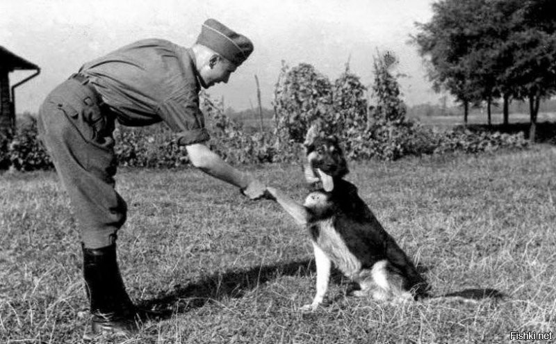 Это Карл Хёкер, адьютант коменданта Аушвица, со своей любимой собакой по имени Фаворит. В сети есть много фотографий с ним и Фаворитом.