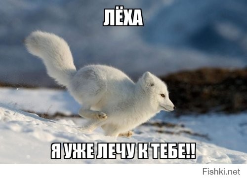 Пресс-конференция по Навальному была отменена по вине ЦРУ