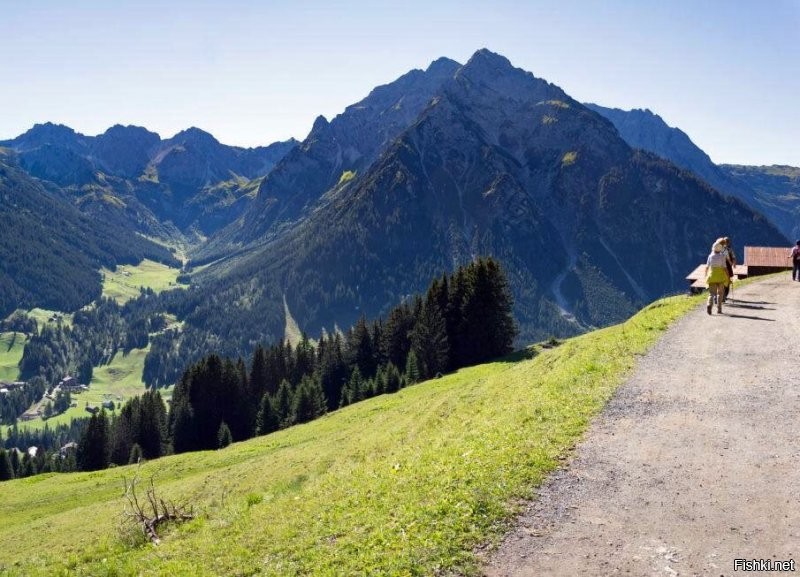 И как только сегодня не столкнулись...