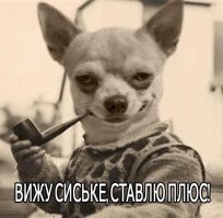 Вокалистка Little Big сфотографировалась для мужского журнала и восхитила его читателей