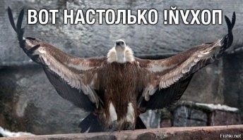 Невеста чемпиона мира Заурбека Сидакова, чьи фотографии слили прямо на свадьбе, сбежала в Москву