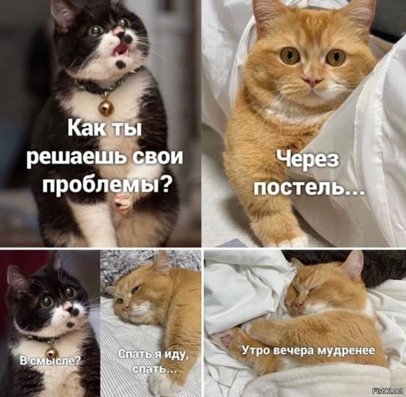Солянка от 26.08.2020