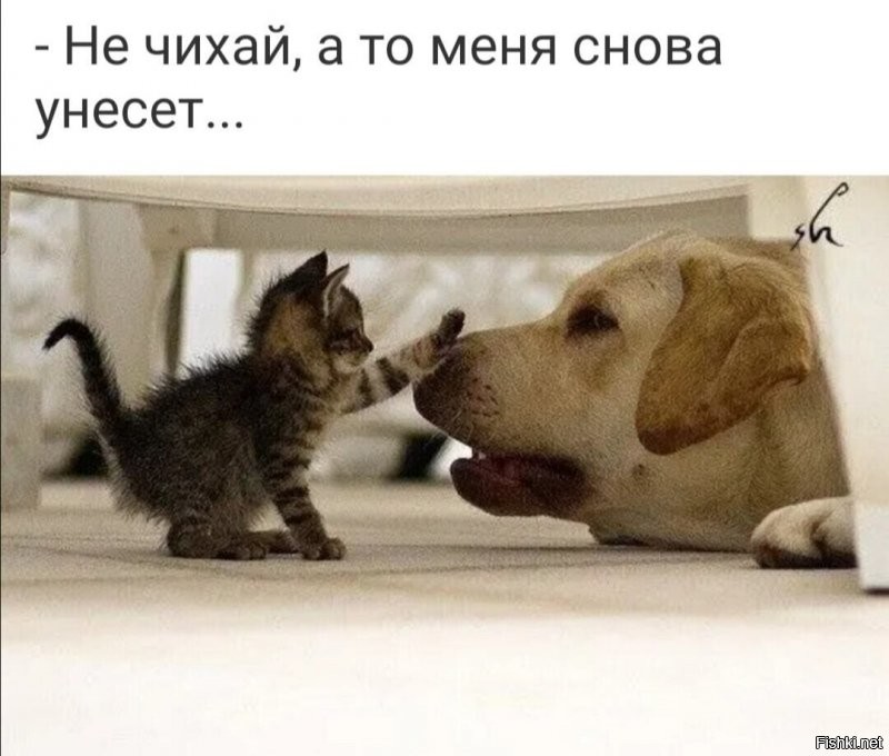 Солянка от 26.08.2020