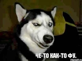 )))