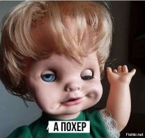 Невеста чемпиона мира Заурбека Сидакова, чьи фотографии слили прямо на свадьбе, сбежала в Москву