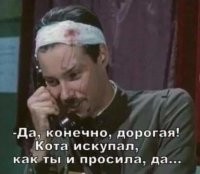 Как помыть кошку, выжить и не сойти с ума? Инструкция и советы