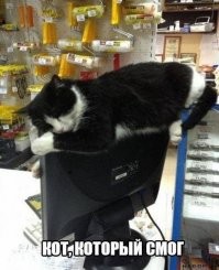 17 вещей, которые с успехом получилось доработать