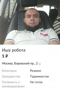 ТОП дурацких резюме, которые изумляют работодателей