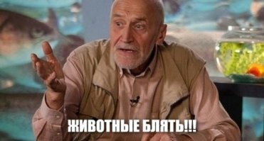 «Руки-базуки» и Джигурда пришли в суд над Ефремовым