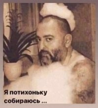 Прикольные и смешные картинки