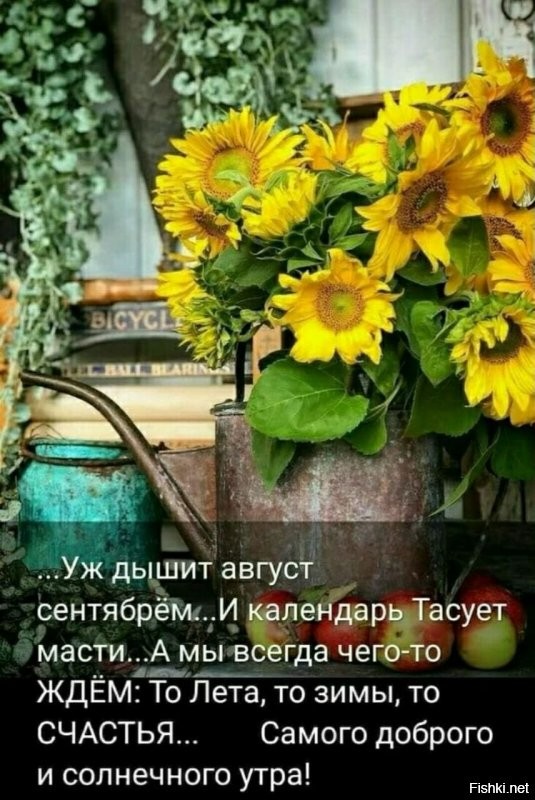 С наступающим сентябрём
