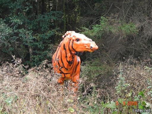 Лось в Зеленограде. Одиночка, но такой разный