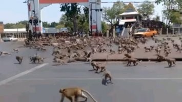 Они уже бегут в ООО "РПЦ"