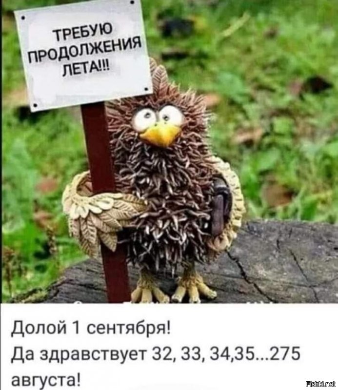 Солянка от 27.08.2020