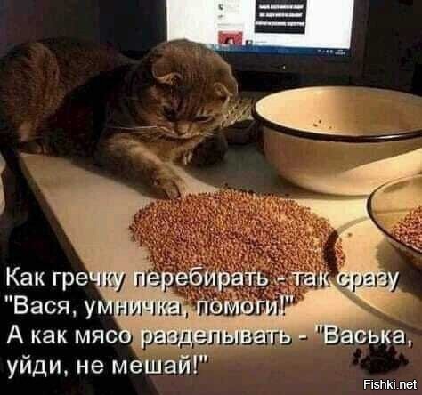 Солянка от 27.08.2020