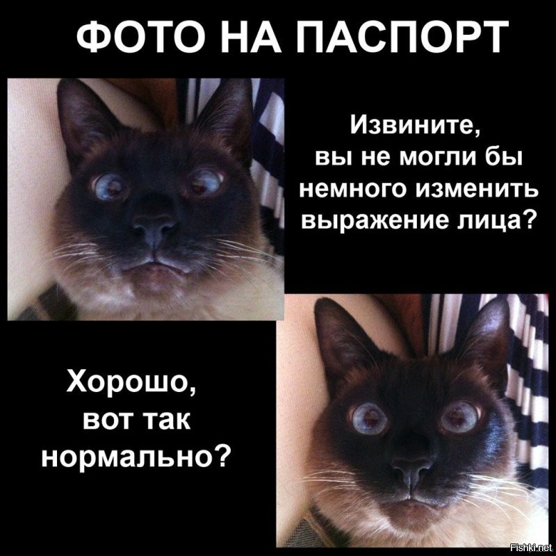 Солянка от 27.08.2020