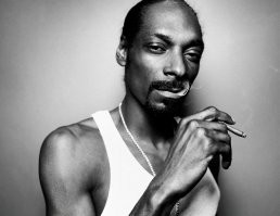 Ну да, без травы такое в голову не пришло бы.