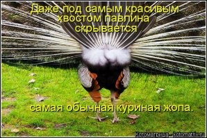 Выхлоп