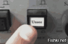 Президент Эстонии Керсти Кальюлайд вручает литературную премию писателю Микка...