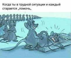 Ой, как неловко получилось! О попавших в затруднительную ситуацию 