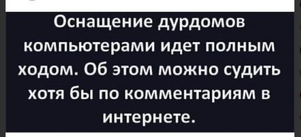 Жеребёнок позвал людей в лес и привёл к&nbsp;мёртвой матери