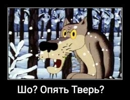 В Твери обнажённая женщина чуть не упала с седьмого этажа