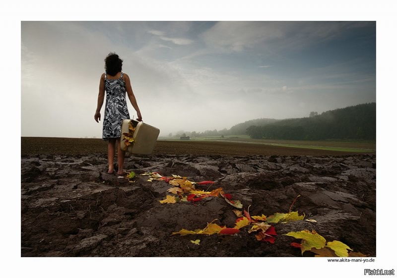 Солянка от 28.08.2020