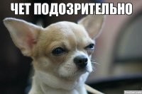 Прикольные и смешные картинки