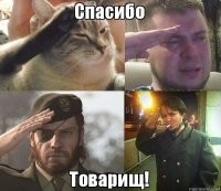 Прикольные и смешные картинки