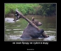 Подборка автомобильных приколов