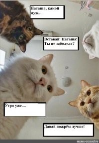 Прикольные и смешные картинки