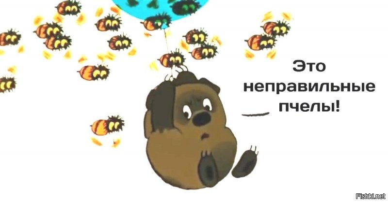 Пишут, что это зеленые орхидейные пчелы