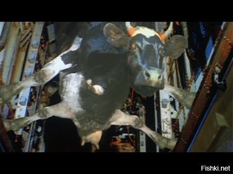 Солянка от 27.08.2020