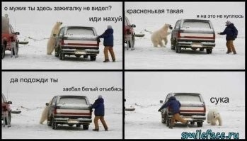 Прикольные и смешные картинки