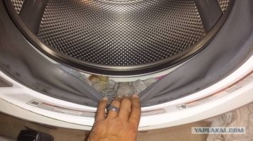 Прикольные и смешные картинки