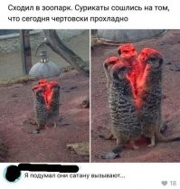 Сурикаты: Что было бы, если бы предатель Тимон из Короля Льва вернулся к своей стае?