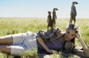 Сурикаты: Что было бы, если бы предатель Тимон из Короля Льва вернулся к своей стае?