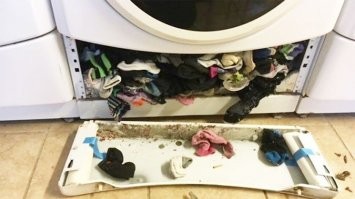 Прикольные и смешные картинки